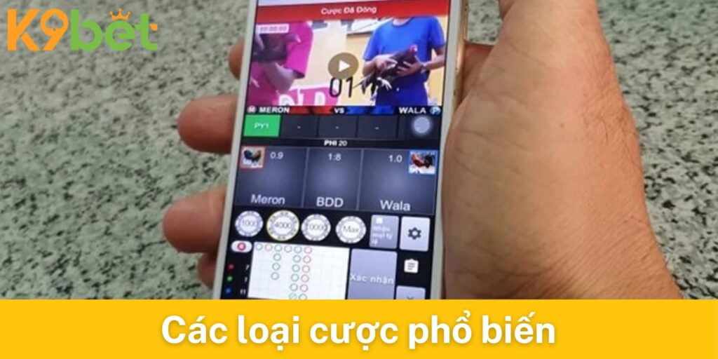 Các loại cược đá gà campuchia phổ biến tại K9bet