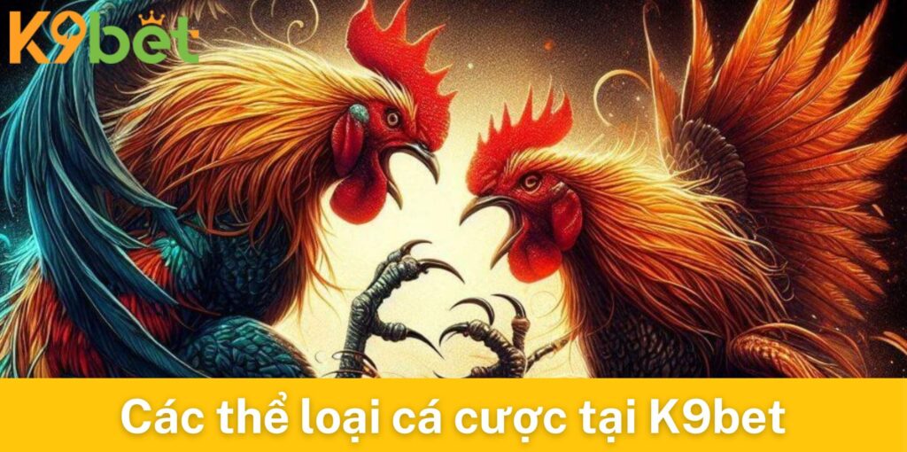 Các thể loại cá cược đá gà tại K9bet