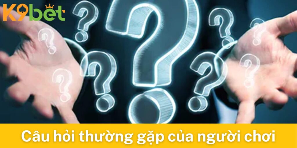Giải đáp câu hỏi thường gặp cho người chơi đá gà