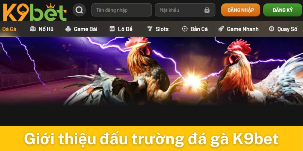 Giới thiệu về đấu trường đá gà K9bet