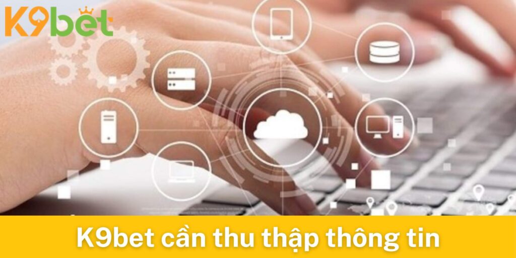 K9bet cần thu thập thông tin người chơi để đảm bảo chính sách bảo mật