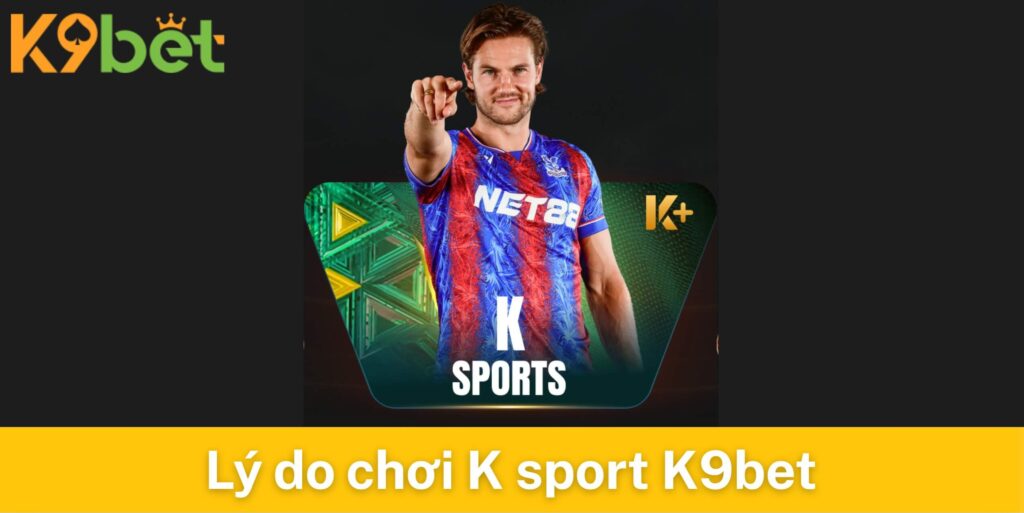 Lý do để bạn chọn chơi tại K sport K9bet