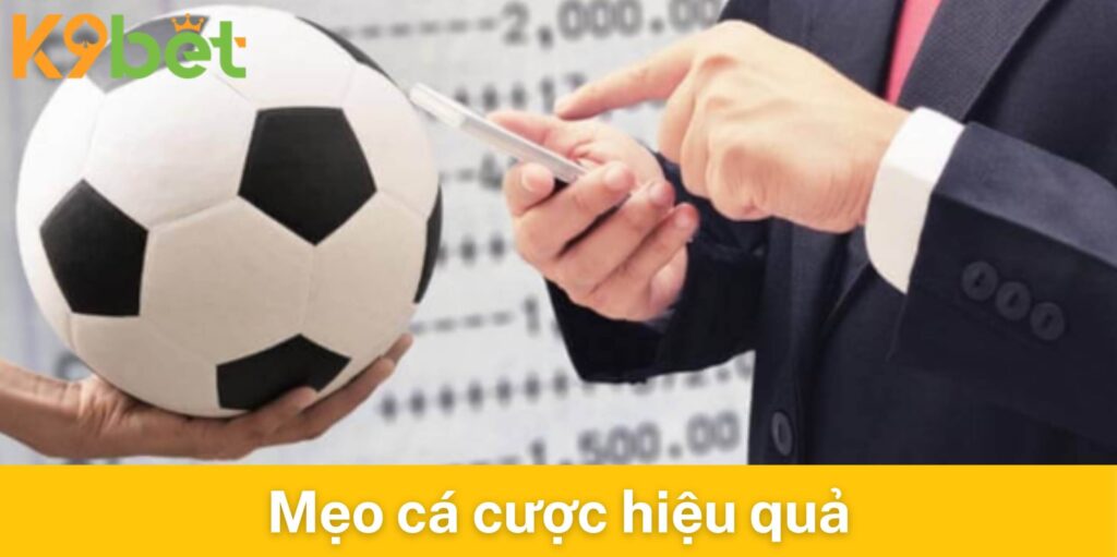 Mẹo cá cược hiệu quả tại P sport K9bet