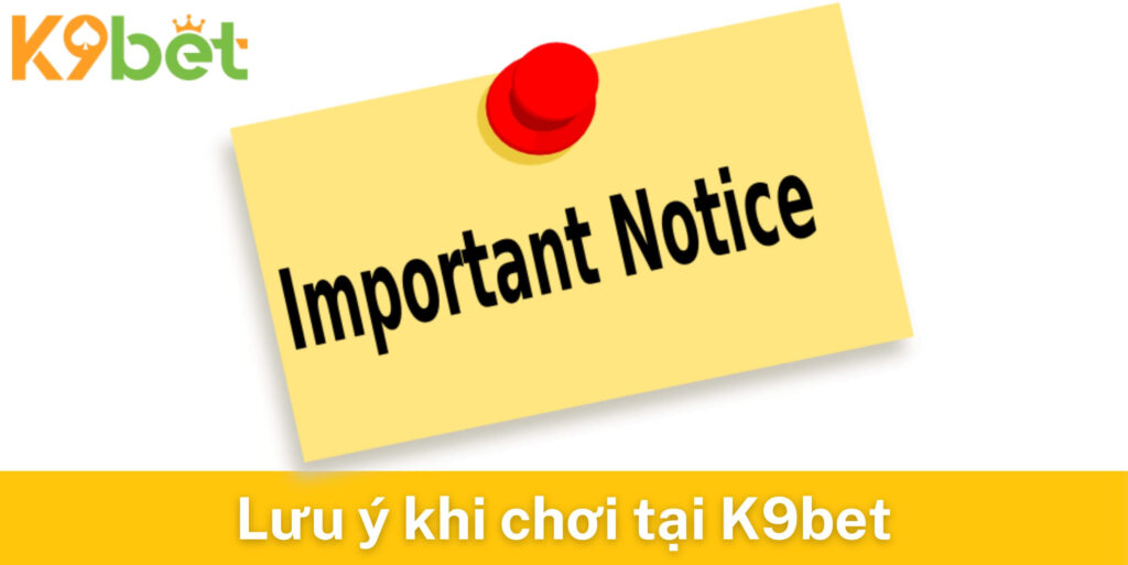 Nắm chắc lưu ý quan trọng khi chơi tại đây