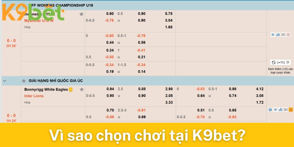 Vì sao chọn chơi cá cược thể thao tại K9bet