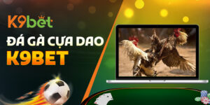 Đá Gà Cựa Dao K9Bet – Thế Giới Cho Anh Em Đam Mê Gà Chiến