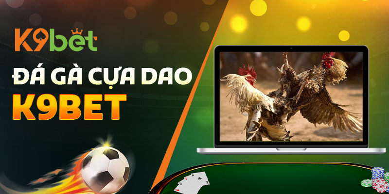 Đá Gà Cựa Dao K9Bet – Thế Giới Cho Anh Em Đam Mê Gà Chiến