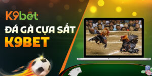 Đá gà cựa sắt K9BET dành cho dân đam mê đá gà trực tuyến