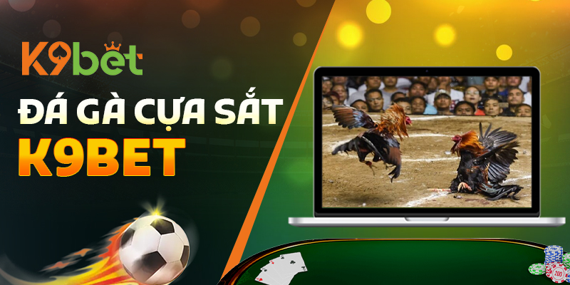 Đá gà cựa sắt K9BET dành cho dân đam mê đá gà trực tuyến