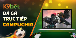 Đá Gà Trực Tiếp Campuchia K9BET – Đỉnh Cao Giải Trí Trực Tuyến